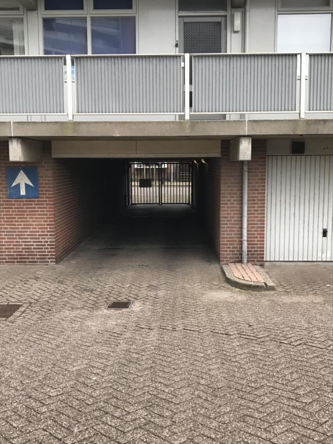 Apartment 16 *